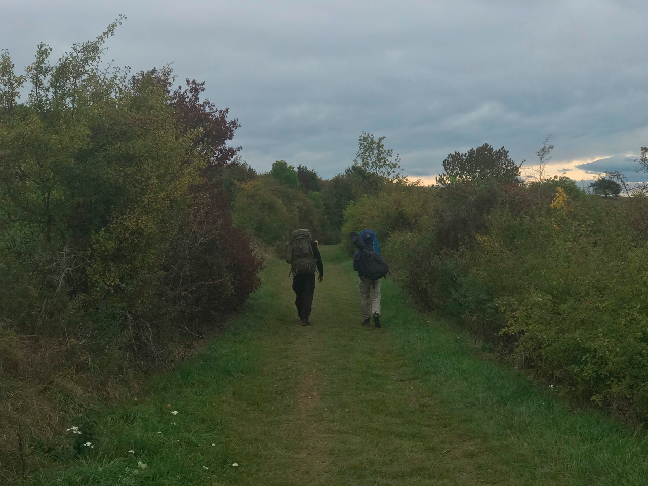 Auf dem Weg zum Hohenhewen